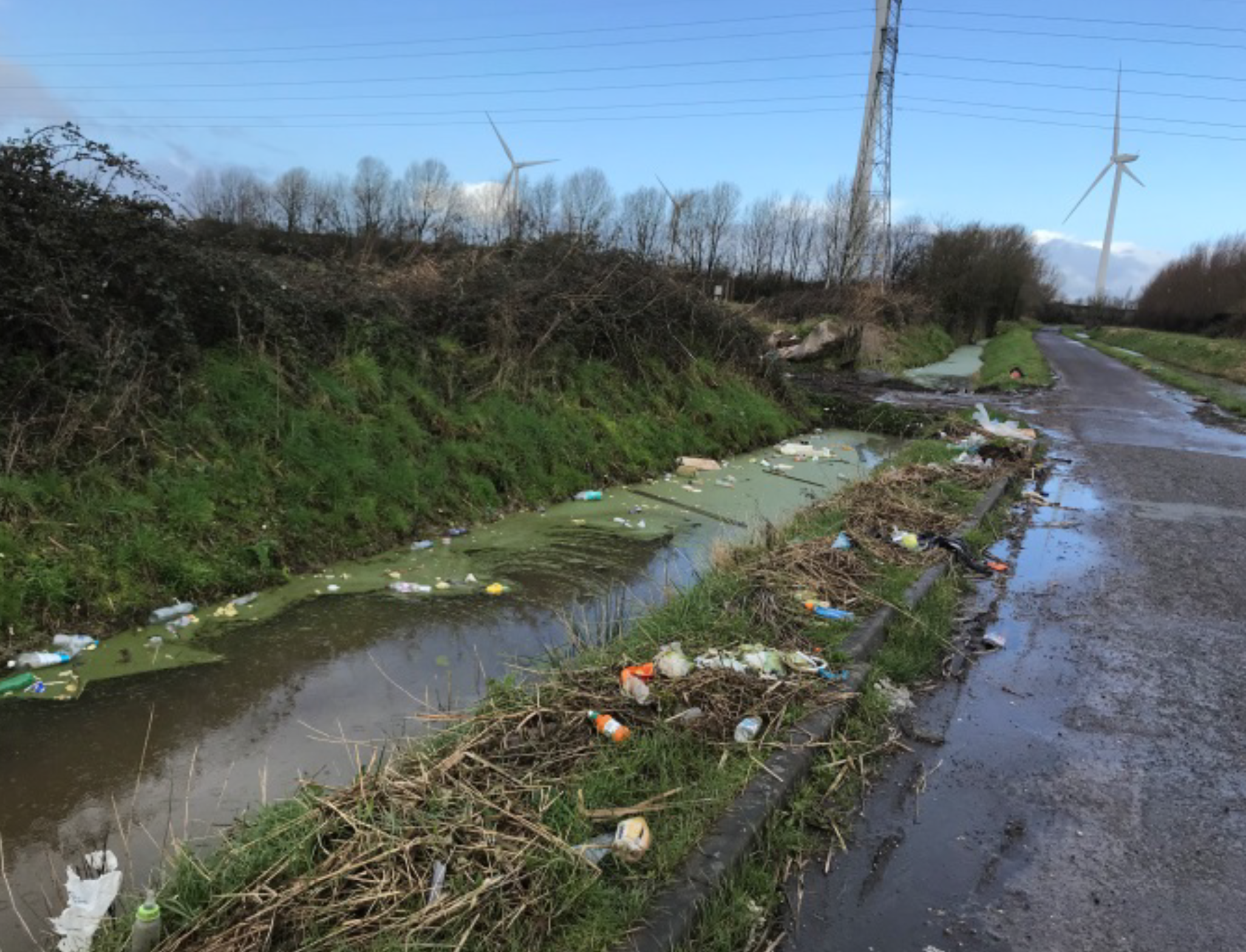 report lw Lawrence Weston Road: Area of natural beauty or antisocial behaviour?