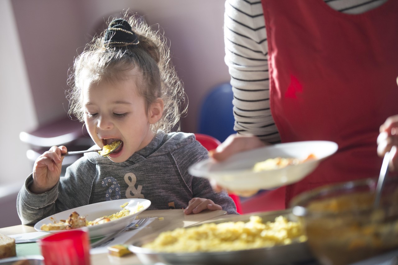 Food Friends- FareShare South West