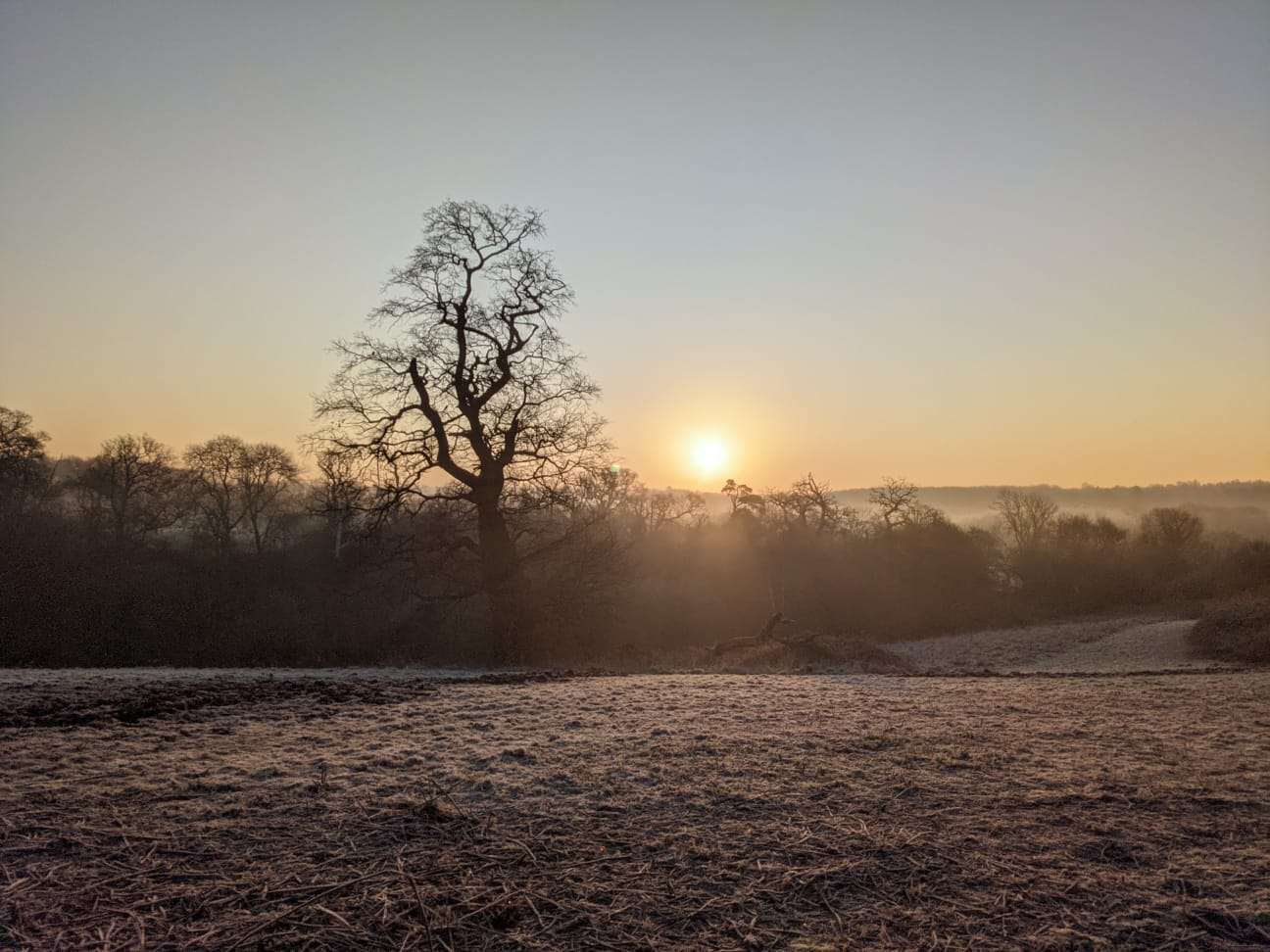 PENNY BROHN UK IS GIFTED TRANQUIL LAND ALONGSIDE NATIONAL CENTRE IN PILL