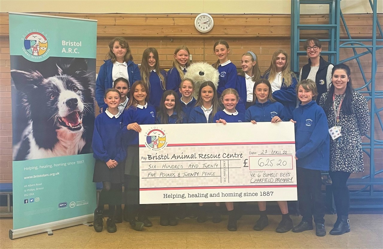 CHARFIELD PUPILS RAISE OVER £600 FOR RSPCA