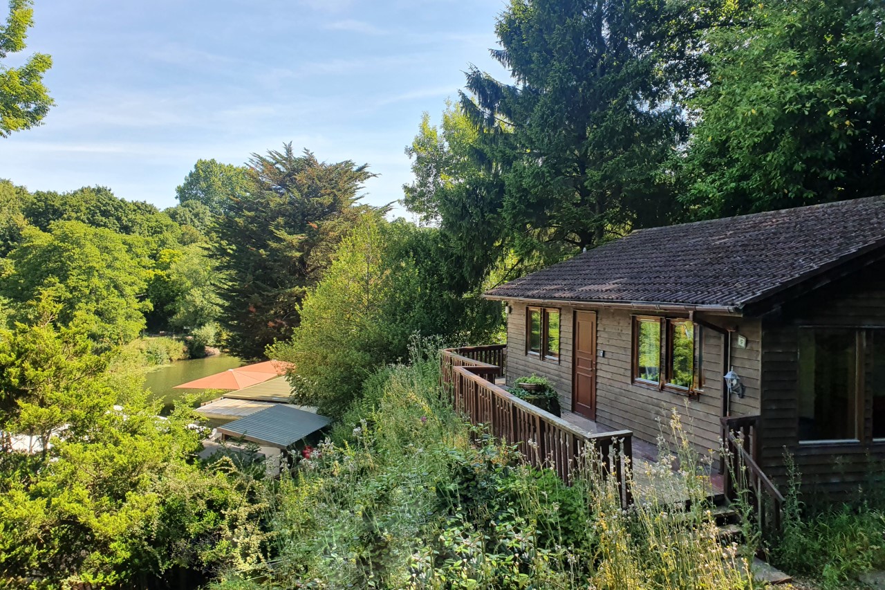 BRISLINGTON ‘S RIVERSIDE WOODLAND RETREAT IN UP FOR AUCTION