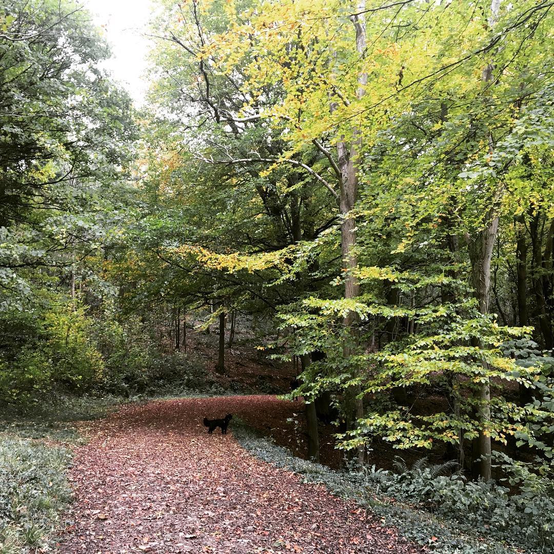 Bristol’s top 5 lunchtime walks to beat the Monday blues.