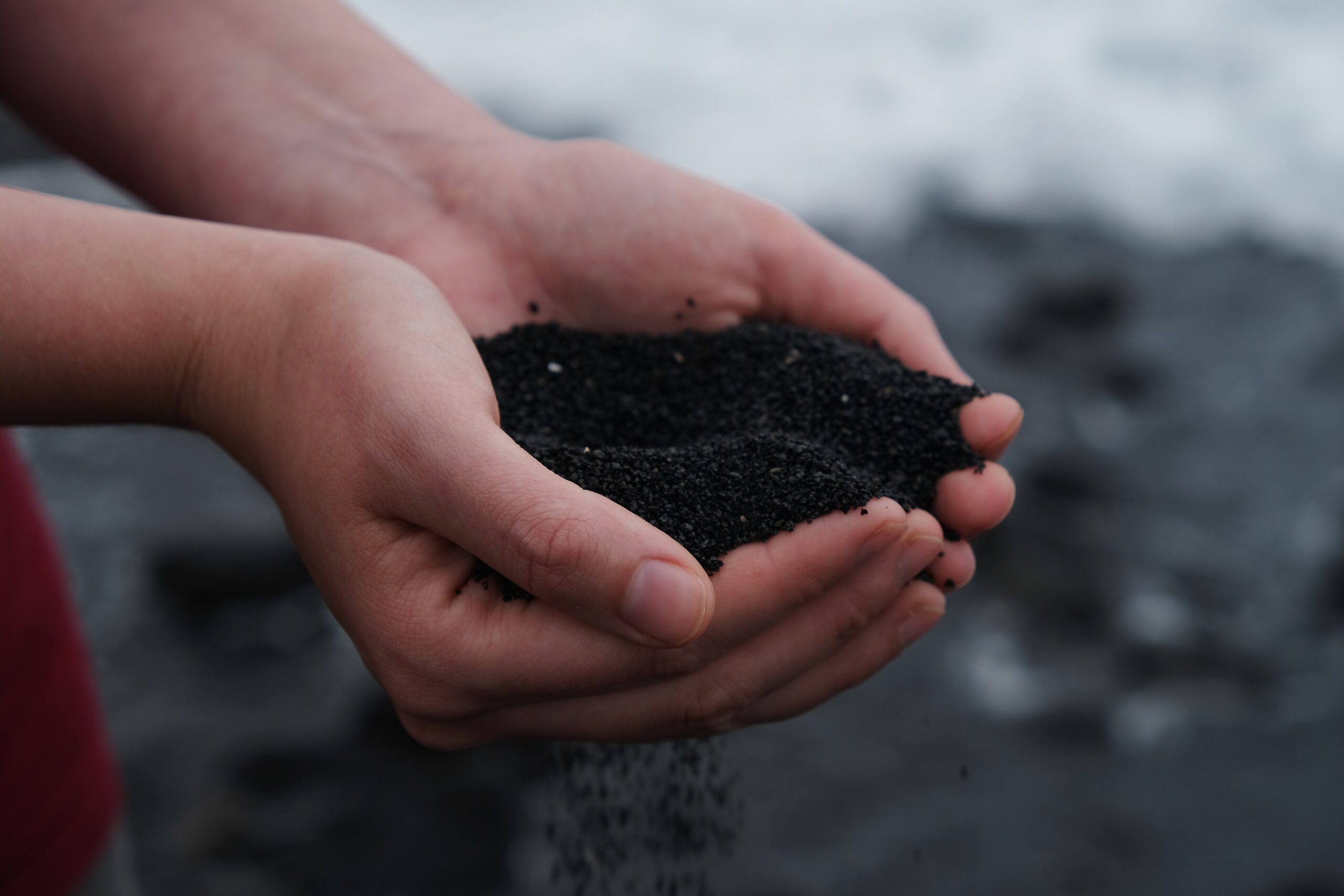 seth-cottle-lyMZdag-zgQ-unsplash Free compost for North Somerset residents