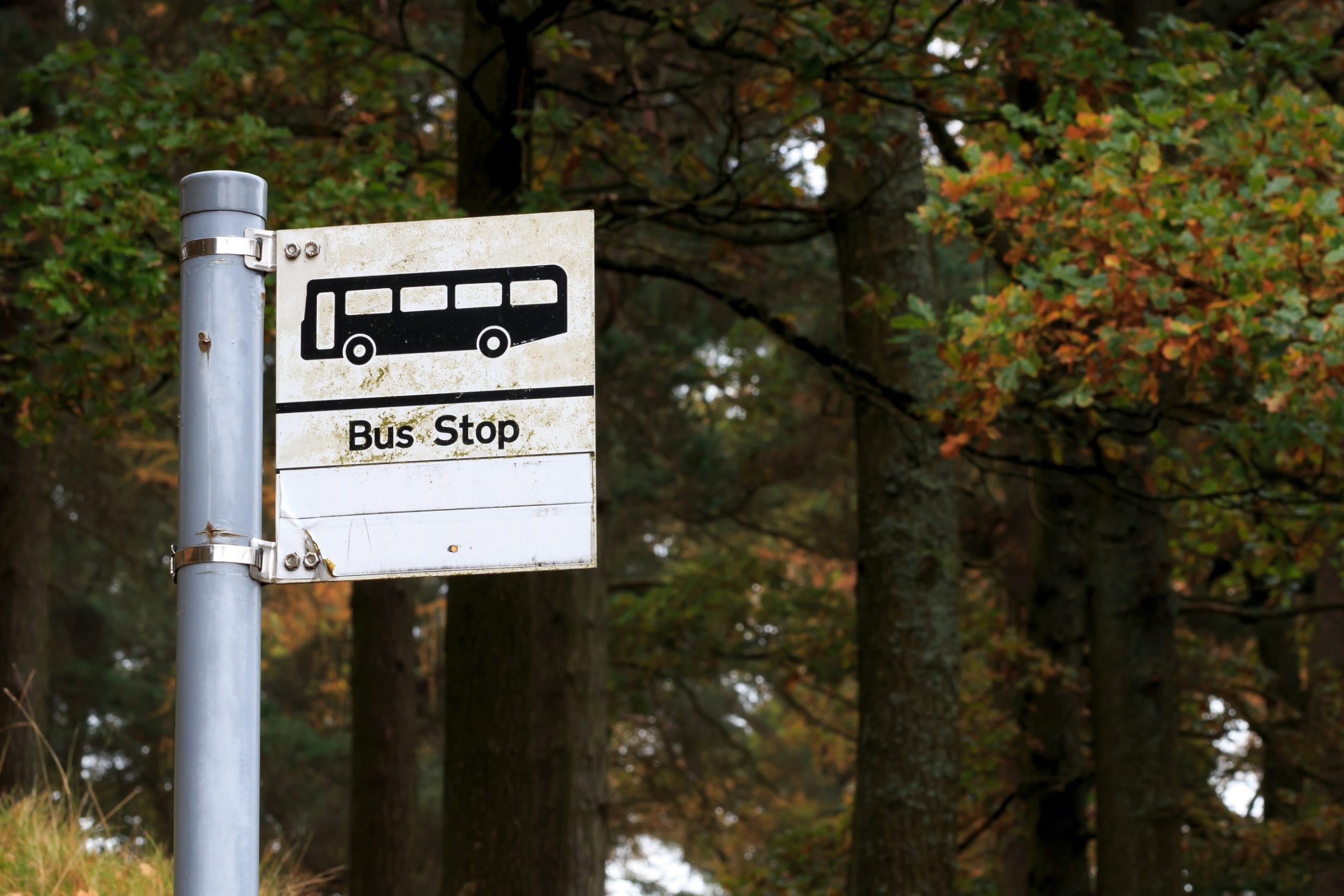 BusStopImage-scaled South Glos Council urge Metro Mayor to reinstate ‘lifeline’ buses