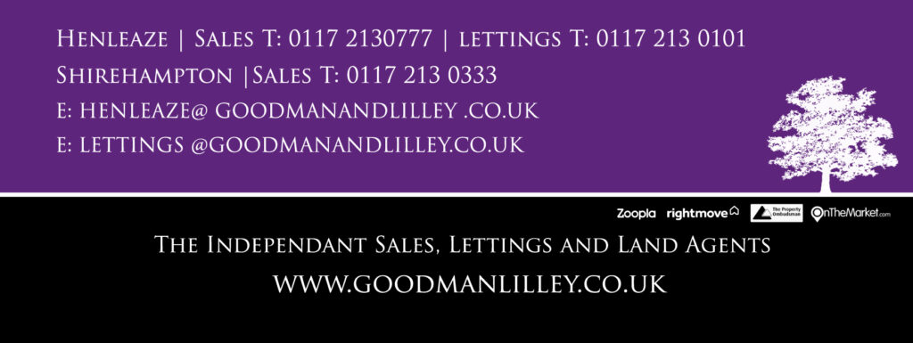 Goodman Lilly