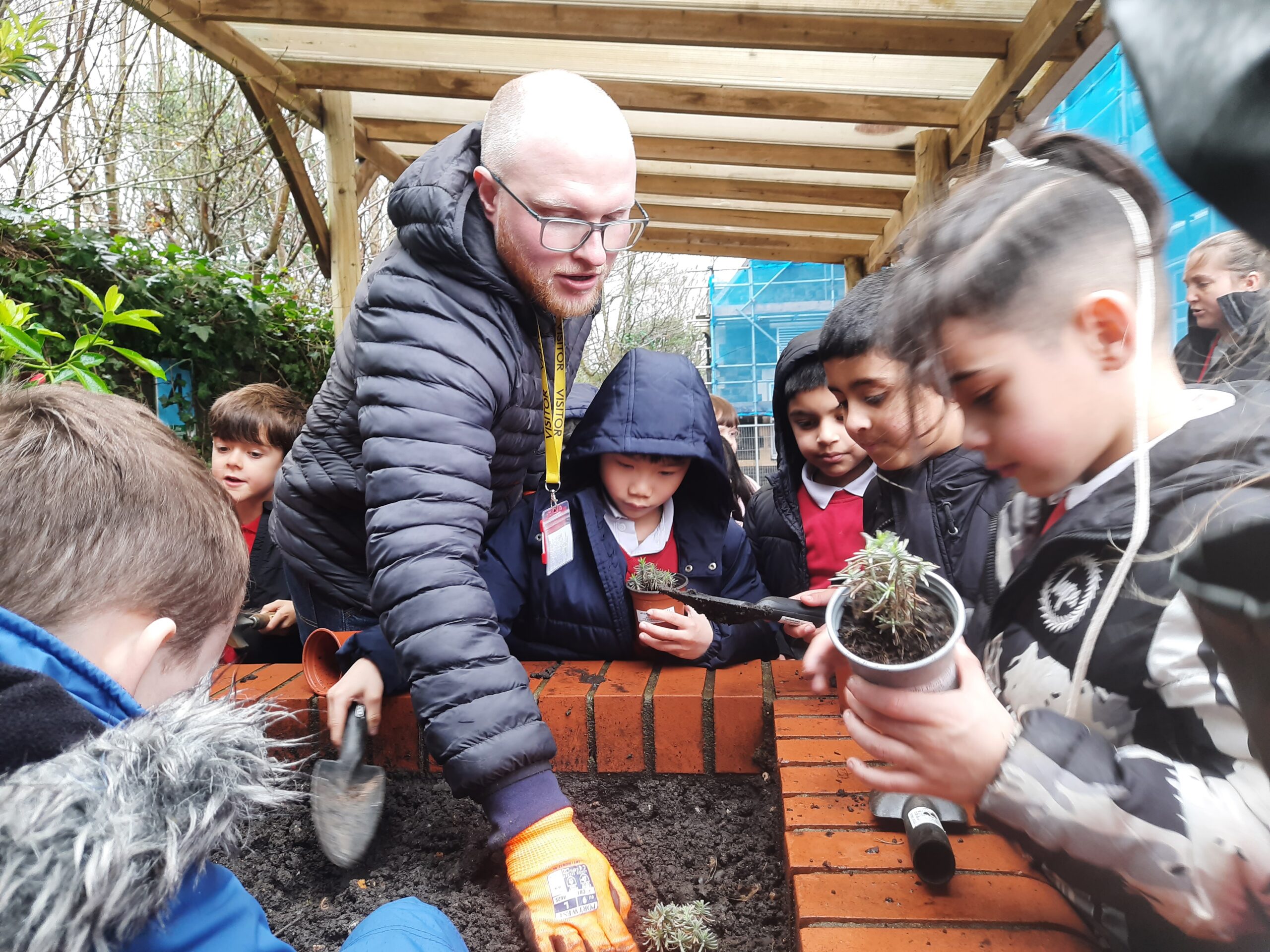Two thousand Bristol children to create wild spaces for butterflies and moths at school