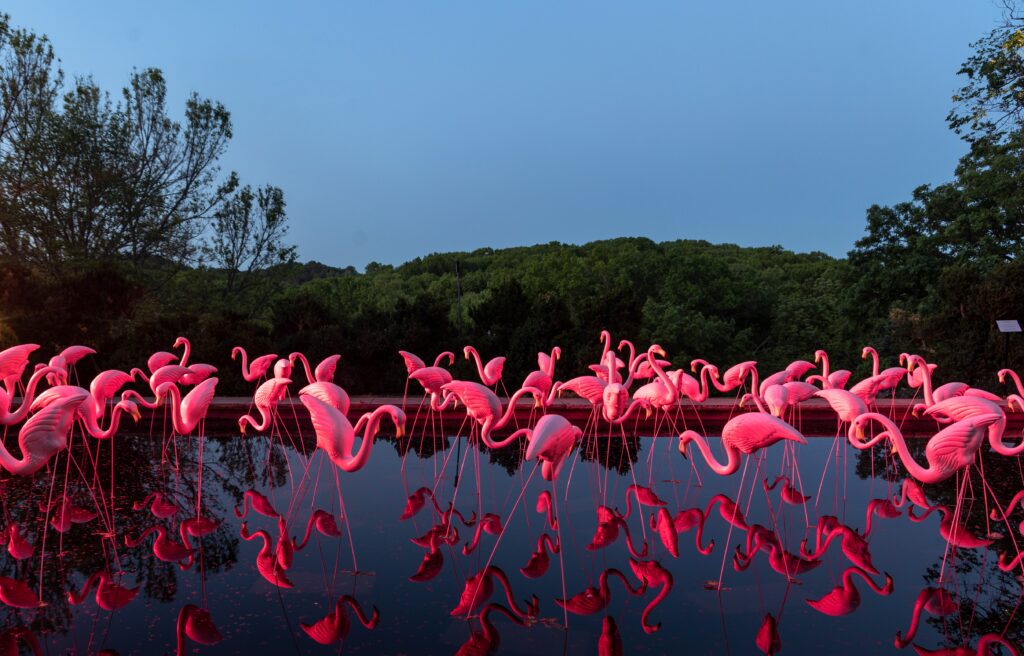 Ramandu's Table by Bruce Munro