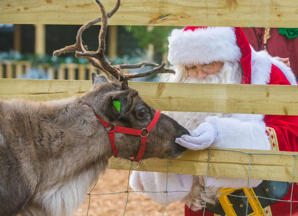 Christmas