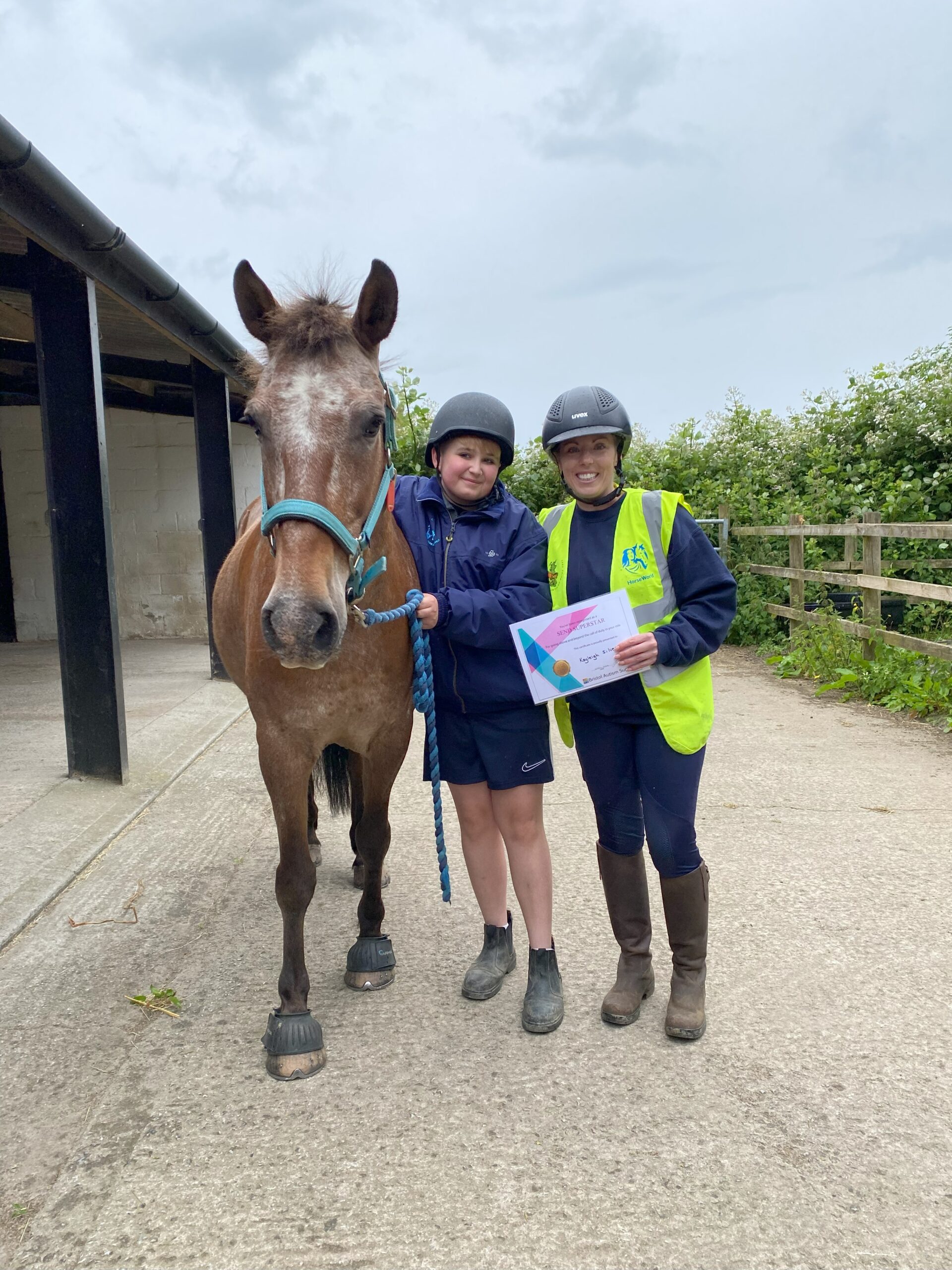 a10fed1e-4d17-4c36-9322-291d7174b335 Bristol’s HorseWorld Discovery Programme: How Rescued Horses Helped Save Charlie’s Life