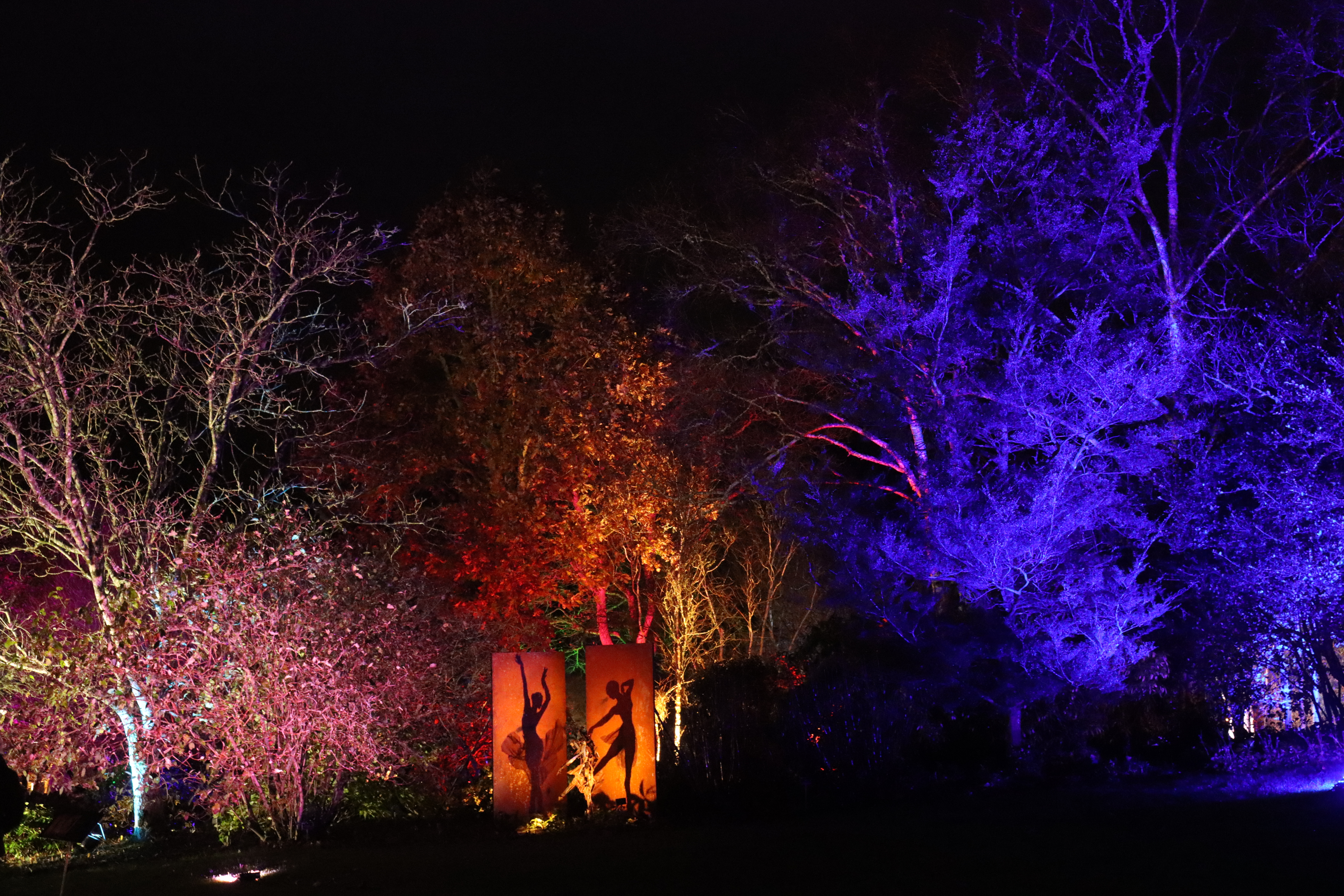 bristol light festival reveals
