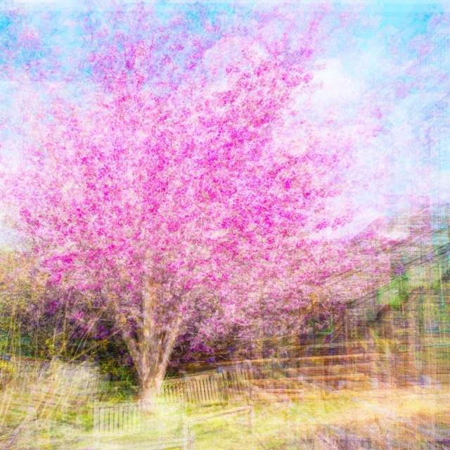 BEECHWOOD PARK INVITES LOCALS TO A FREE THREE-DAY PHOTOGRAPHIC ART EXHIBITION