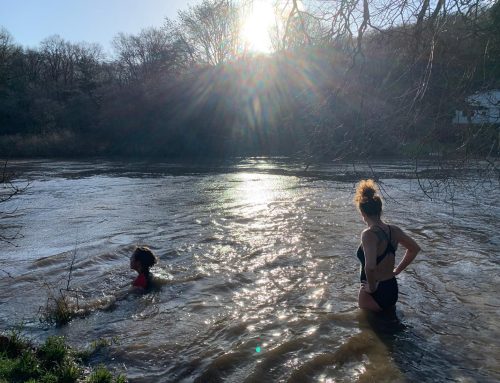 Bristol City Council to Recognise the Rights of the Avon