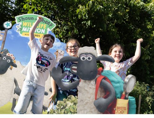What’s On in Bristol This Summer