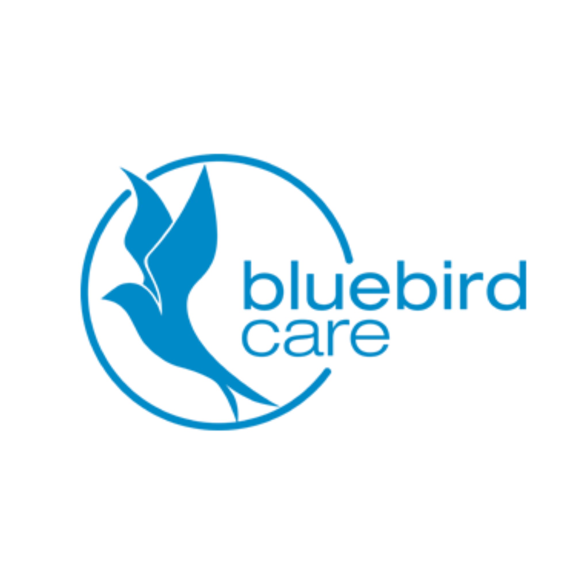 Bluebird Care