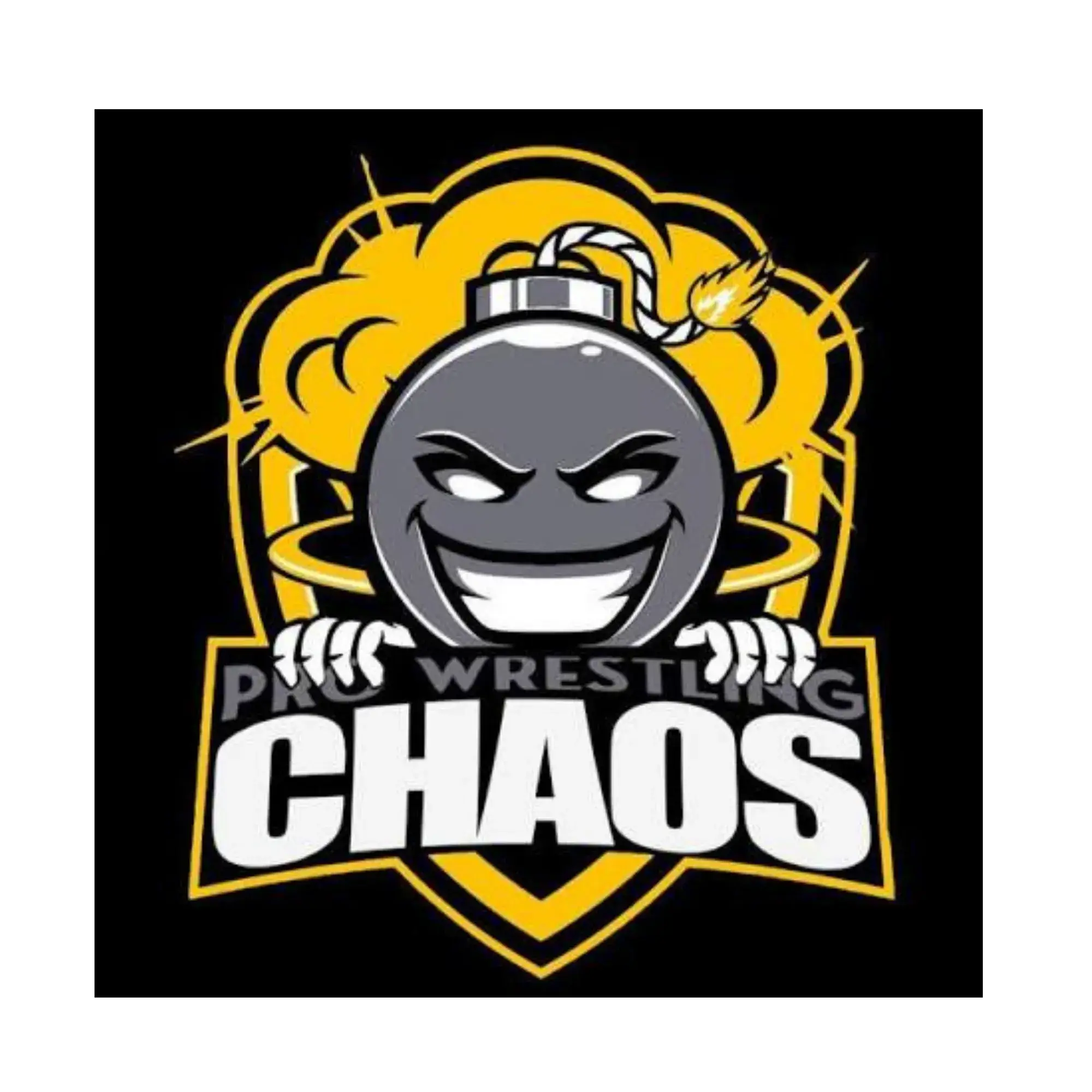 pro wrestling chaos