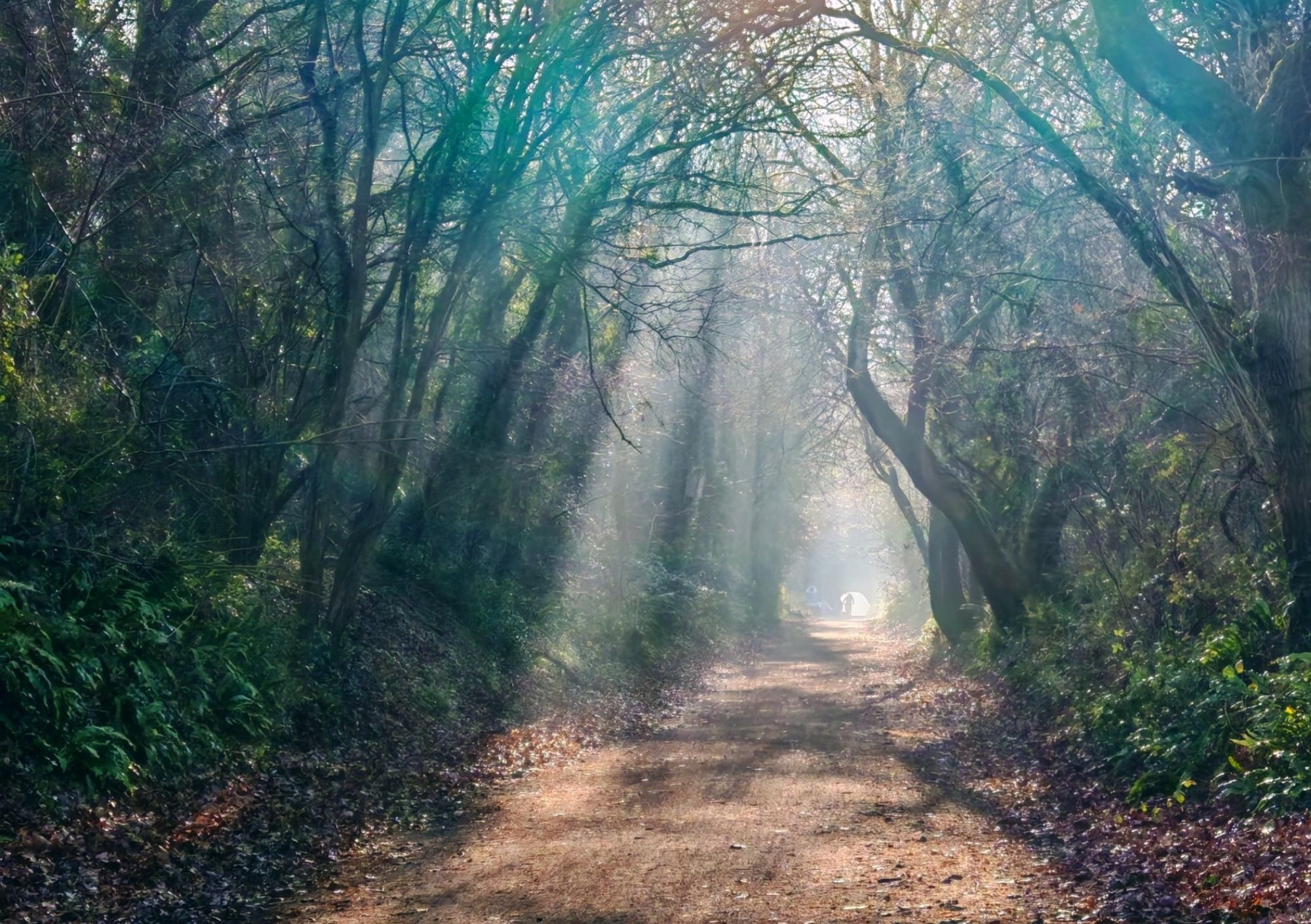 North Somerset’s Strawberry Line Named Britain’s Favourite Path 2026